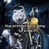1770558400044.png