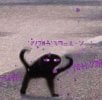 1107.jpg