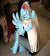IMG_0732.jpeg