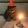 1779060921708.png