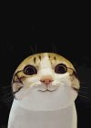 106022.jpg