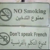 1786118853341.png