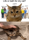 1789552783934.png