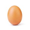 instagram_egg.jpg