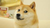 1548097093342.png