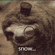 mlgsloth