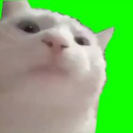 Cinnamon_Bun