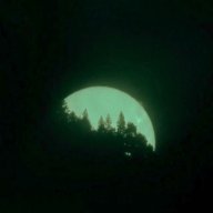 nightfury95