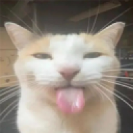 daaviid09
