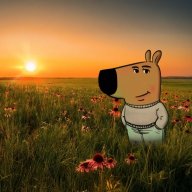 gowithdaflo