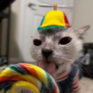 abdopipi