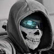 the_wild_card