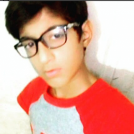 BingFox_YT