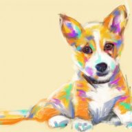 North_Fox_YT