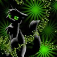 Kittenlove10