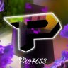 Pro7653