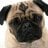 PuggerMC