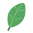 Epicleaf822