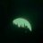 nightfury95