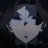 dvmajor_