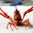 MightyCrawfish