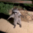 VinderGuard