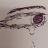 RarryTheFirst